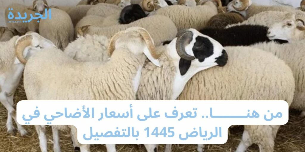 الأضاحي في الرياض 1445