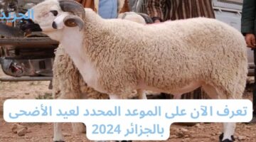 تعرف الآن على الموعد المحدد لعيد الأضحى بالجزائر 2024