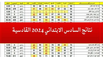 شوف النتيجة دلوقتي نتائج السادس المتوسط بالعراق محافظة القادسية 2024