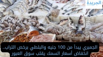الجمبري يبدأ من 100 جنيه والبلطي برخص التراب.. انخفاض أسعار السمك اليوم يقلب سوق العبور