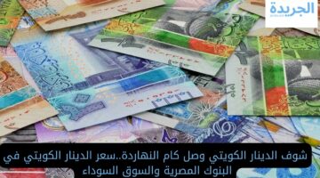 هيفتحو التأشيرة تاني.. تعرف علي سعر الدينار الكويتي في البنوك المصرية