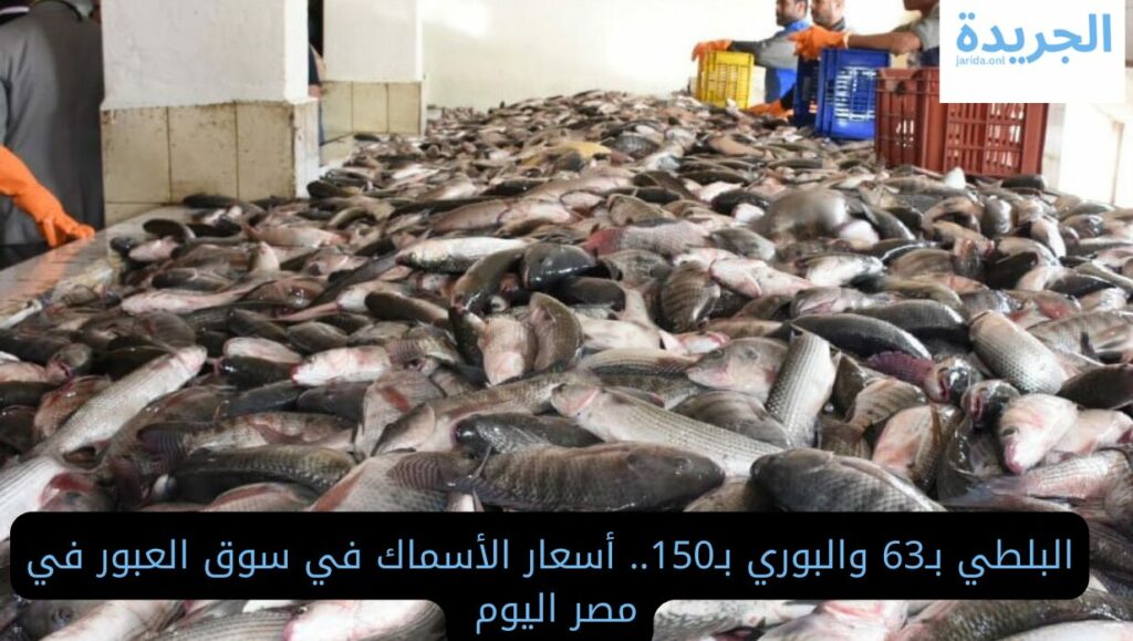 أسعار الأسماك