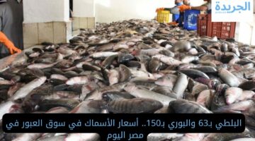 البلطي بـ63 والبوري بـ150.. أسعار الأسماك في سوق العبور في مصر اليوم