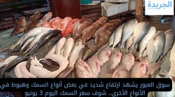 سوق العبور يشهد ارتفاع شديد في بعض أنواع السمك وهبوط في الأنواع الأخري.. شوف سعر السمك اليوم 3 يونيو