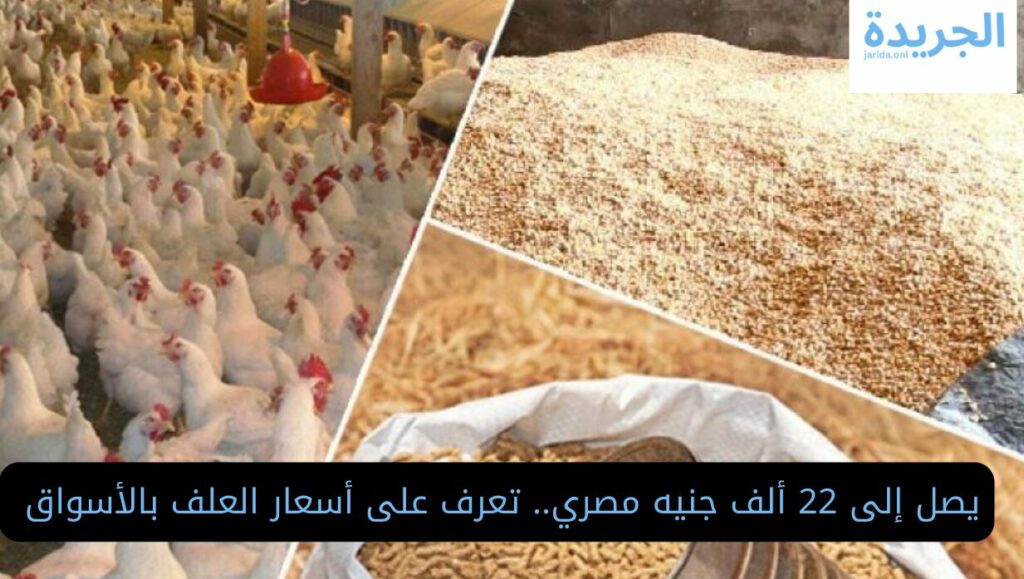 أسعار العلف في مصر