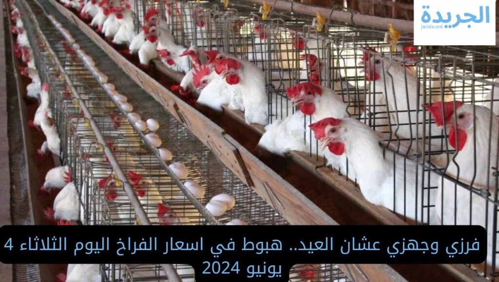  اسعار الفراخ اليوم