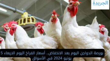 بورصة الدواجن اليوم بعد الانخفاض.. أسعار الفراخ اليوم الاربعاء 5 يونيو 2024 في الأسواق