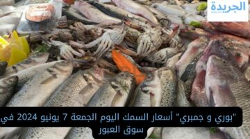  “بوري و جمبري” أسعار السمك اليوم الجمعة 7 يونيو 2024 في سوق العبور 