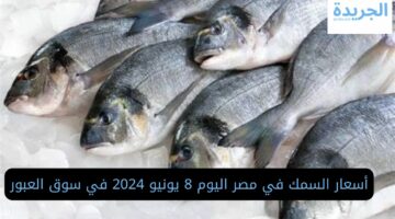 أسعار السمك في مصر اليوم 8 يونيو 2024 في سوق العبور