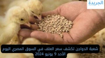 شعبة الدواجن تكشف سعر العلف في السوق المصري اليوم الأحد 9 يونيو 2024