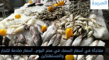 مفاجأة في أسعار السمك في مصر اليوم.. أسعار صادمة للتجار والمستهلكين
