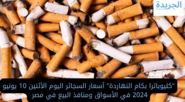 “كليوباترا بكام النهاردة” أسعار السجائر اليوم الأثنين 10 يونيو 2024 في الأسواق ومنافذ البيع في مصر