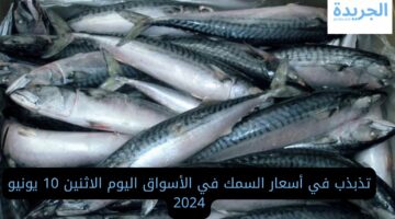 تذبذب في أسعار السمك في الأسواق اليوم الاثنين 10 يونيو 2024