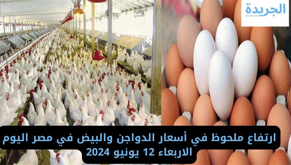 أسعار الدواجن اليوم