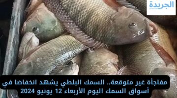 مفاجأة غير متوقعة.. السمك البلطي يشهد انخفاضا في أسواق السمك اليوم الأربعاء 12 يونيو 2024