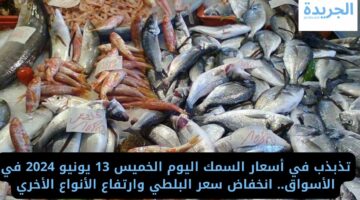 تذبذب في أسعار السمك اليوم الخميس 13 يونيو 2024 في الأسواق.. انخفاض سعر البلطي وارتفاع الأنواع الأخري