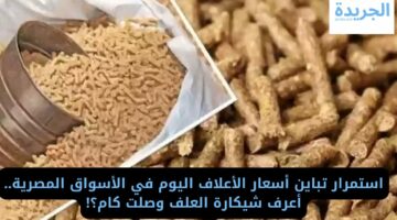 استمرار تباين أسعار الأعلاف اليوم في الأسواق المصرية.. أعرف شيكارة العلف وصلت كام؟!