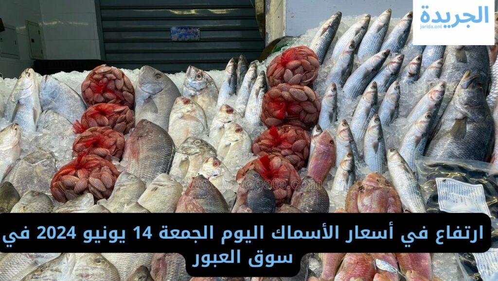  أسعار الأسماك في سوق العبور