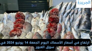 ارتفاع في أسعار الأسماك اليوم الجمعة 14 يونيو 2024 في سوق العبور