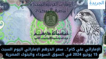 الإماراتي علي كام؟.. سعر الدرهم الإماراتي اليوم السبت 15 يونيو 2024 في السوق السوداء والبنوك المصرية 