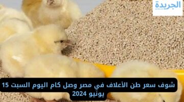 شوف سعر طن الأعلاف في مصر وصل كام اليوم السبت 15 يونيو 2024