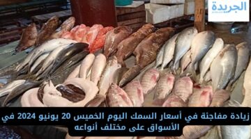 زيادة مفاجئة في أسعار السمك اليوم الخميس 20 يونيو 2024 في الأسواق على مختلف أنواعه 
