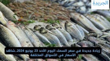 زيادة جديدة في سعر السمك اليوم الأحد 23 يونيو 2024.. شاهد الأسعار في الأسواق المختلفة