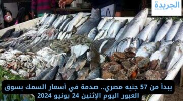 يبدأ من 57 جنيه مصري.. صدمة في أسعار السمك بسوق العبور اليوم الإثنين 24 يونيو 2024