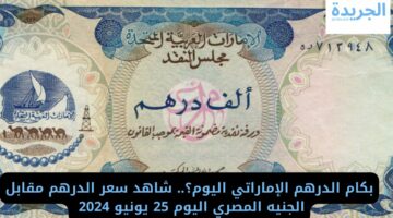 بكام الدرهم الإماراتي اليوم؟.. شاهد سعر الدرهم مقابل الجنيه المصري اليوم 25 يونيو 2024 