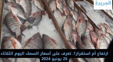 ارتفاع أم استقرار؟ تعرف على أسعار السمك اليوم الثلاثاء 25 يونيو 2024