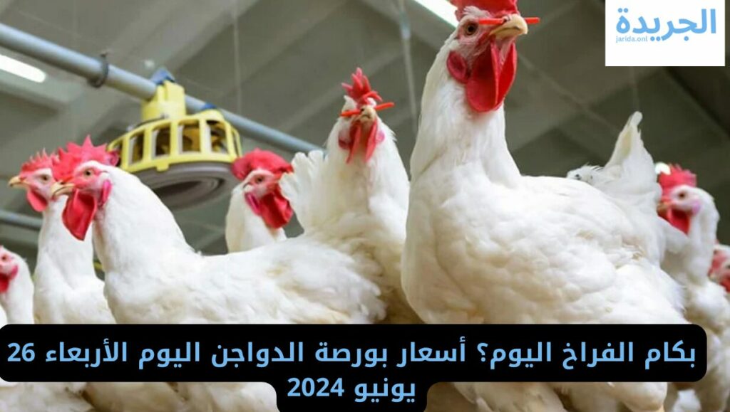 أسعار الدواجن اليوم