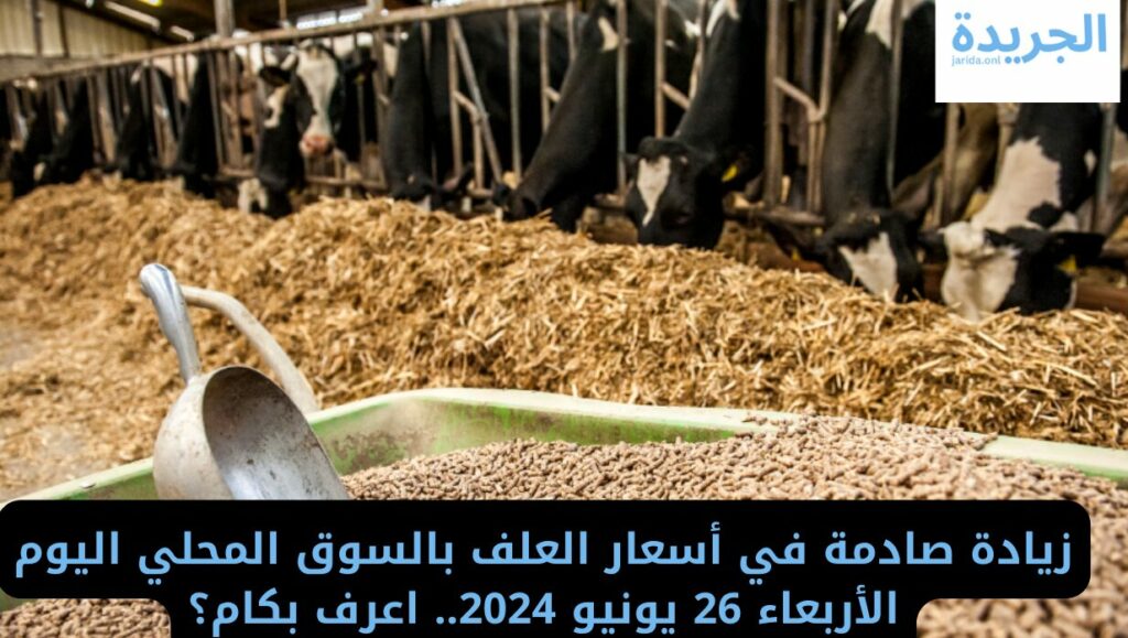 أسعار العلف اليوم