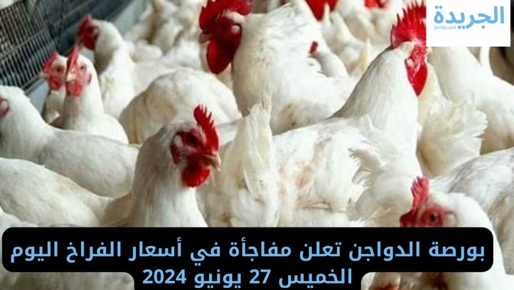 أسعار الدواجن اليوم في مصر