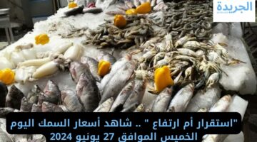 “استقرار أم ارتفاع ” .. شاهد أسعار السمك اليوم الخميس الموافق 27 يونيو 2024