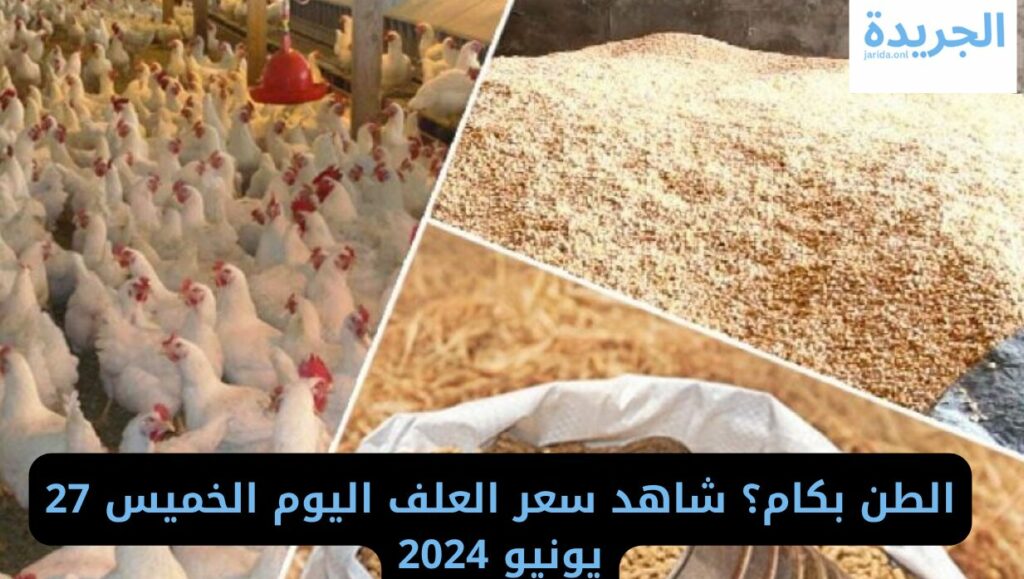  أسعار الأعلاف اليوم 