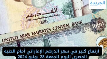  ارتفاع كبير في سعر الدرهم الإماراتي أمام الجنيه المصري اليوم الجمعة 28 يونيو 2024