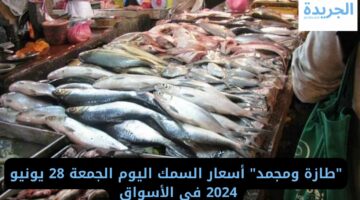 “طازة ومجمد” أسعار السمك اليوم الجمعة 28 يونيو 2024  في الأسواق 