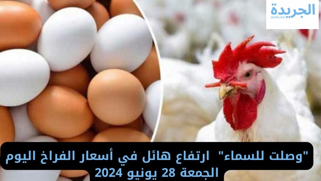 أسعار الدواجن اليوم
