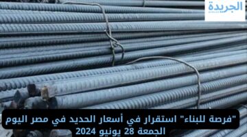 “فرصة للبناء” استقرار في أسعار الحديد في مصر اليوم الجمعة 28 يونيو 2024