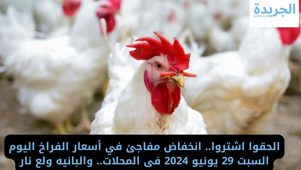 أسعار الدواجن اليوم
