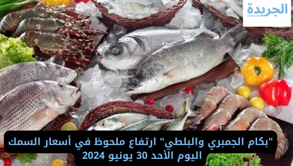 سعر السمك اليوم