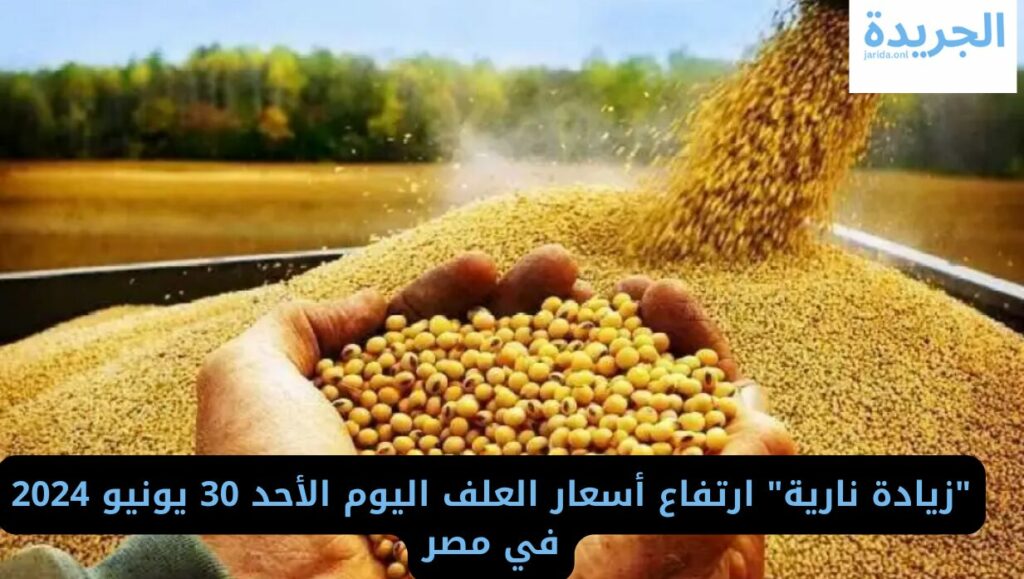 سعر العلف اليوم