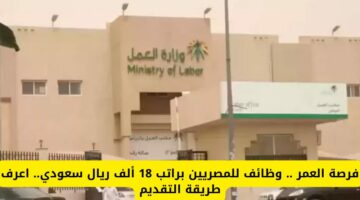 ” فرصة العمل ” وزارة العمل تعلن عن فرص عمل بالمملكة السعودية بمرتبات تبدأ من 18 ألف ريال في الشهر