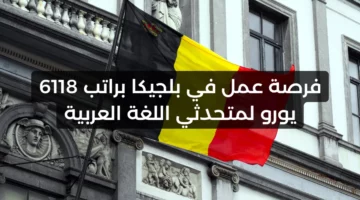 وظيفة براتب 6118 يورو في الشهر للعمل في بلجيكا للمتحدثين باللغة العربية