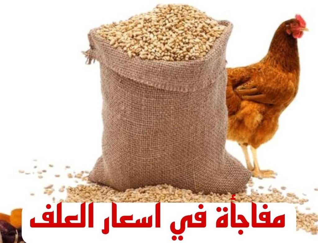 أسعار الأعلاف اليوم الخميس