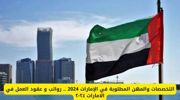 التخصصات والمهن المطلوبة في الإمارات 2024 بمرتبات مجزية