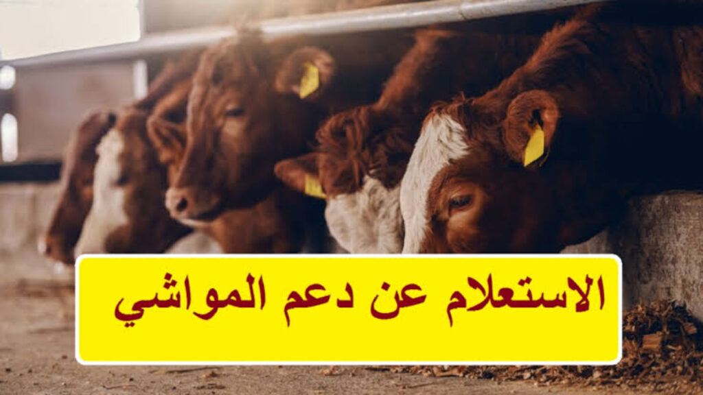وزارة البيئة والمياه السعودية