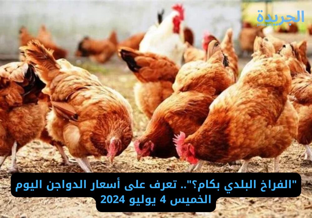 سعر الفراخ اليوم