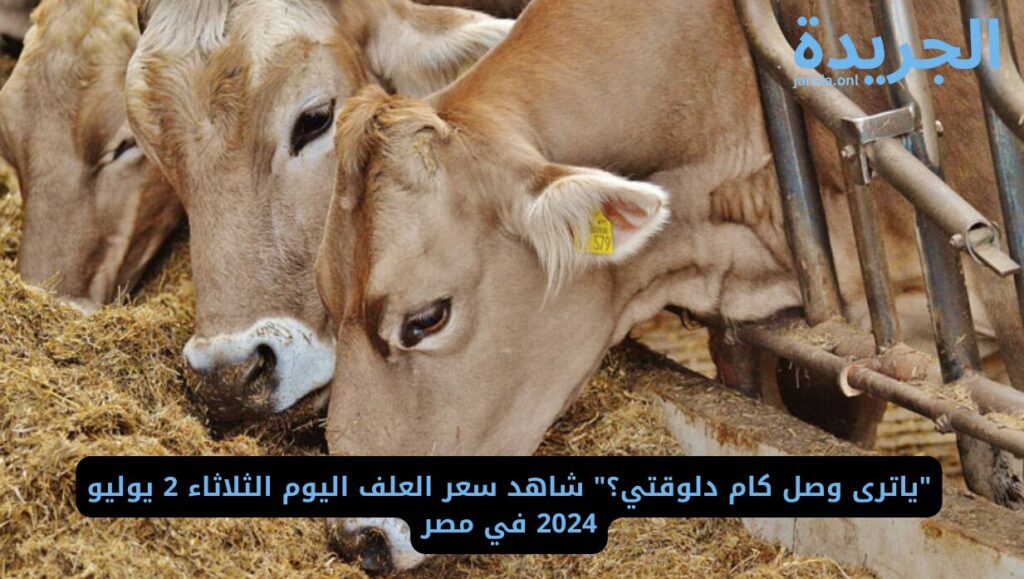  أسعار اعلاف الدواجن اليوم