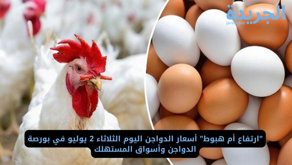  أسعار أجزاء الفراخ اليوم الثلاثاء
